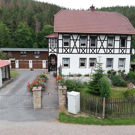 Fewo An Der Klosterruine Paulinzella Mit Kostenfreien Parkplatz Und Wlan Εξωτερικό φωτογραφία
